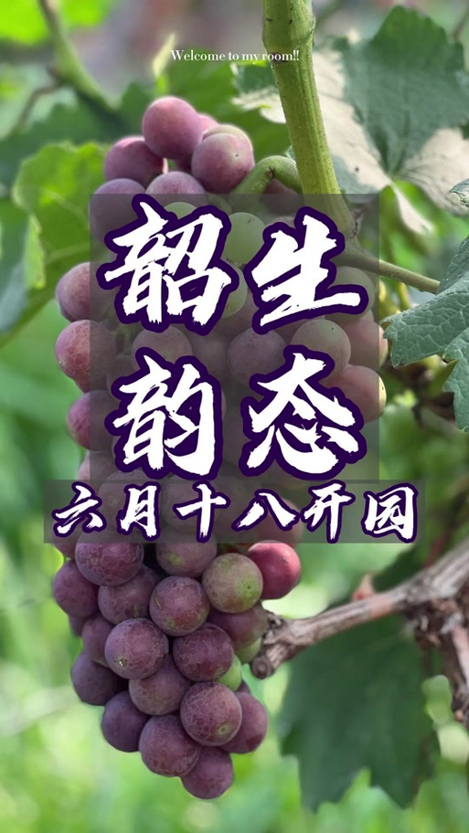 和汇生态葡萄园区