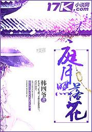 庭月小说图标
