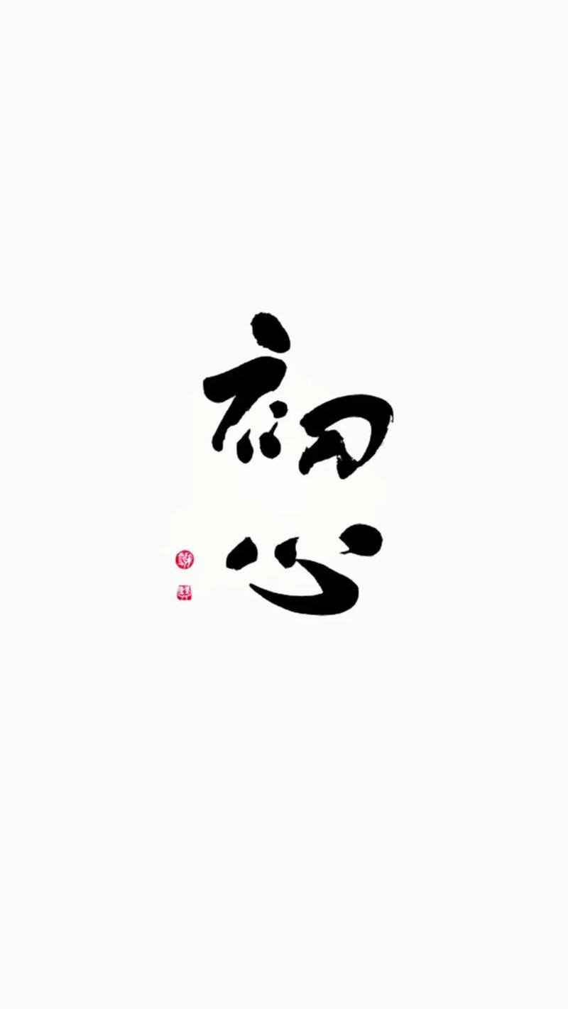 初心小说网图标