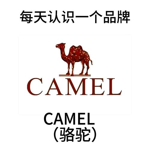 骆驼贷款图标