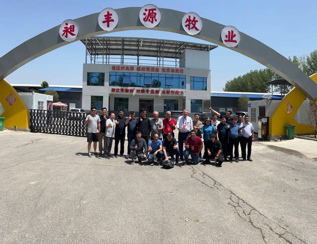 伊源牧业养牛