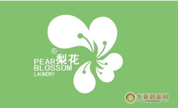 梨花转转发文章版图标