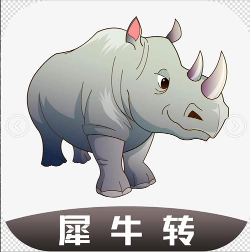 犀牛转2020转