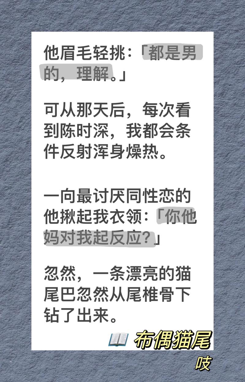 布偶免费小说手机