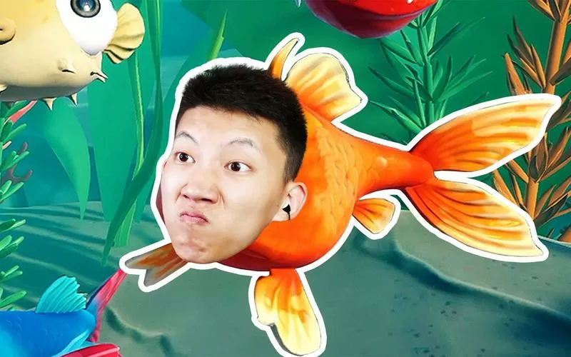 鲤鱼ACE玩小鱼模拟器图标