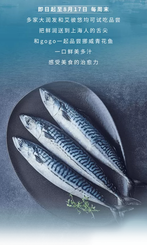 青花鱼是养殖的吗
