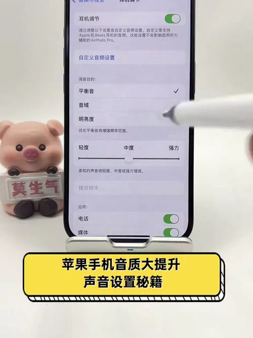 苹果手机的声音怎么调大图标