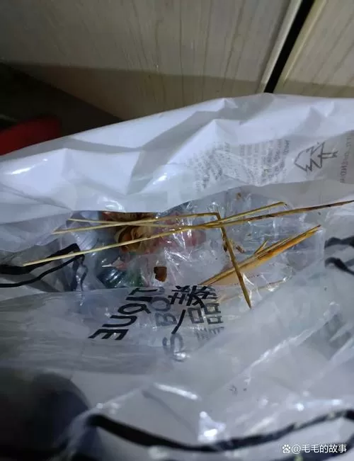 我抢卫生纸贼六