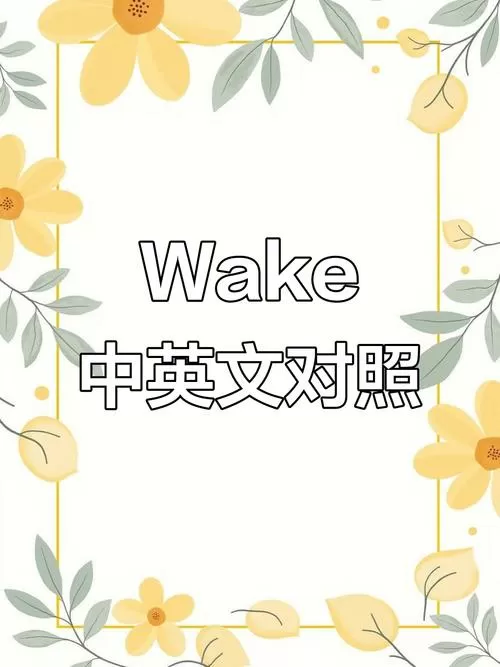 wake中文版图标