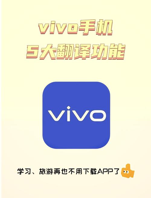 vivo的翻译功能在哪图标