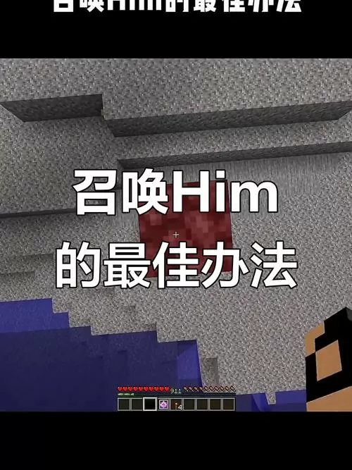 我的世界不开模组召唤him图标