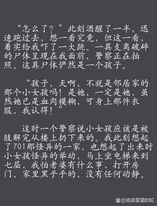 飞语小说