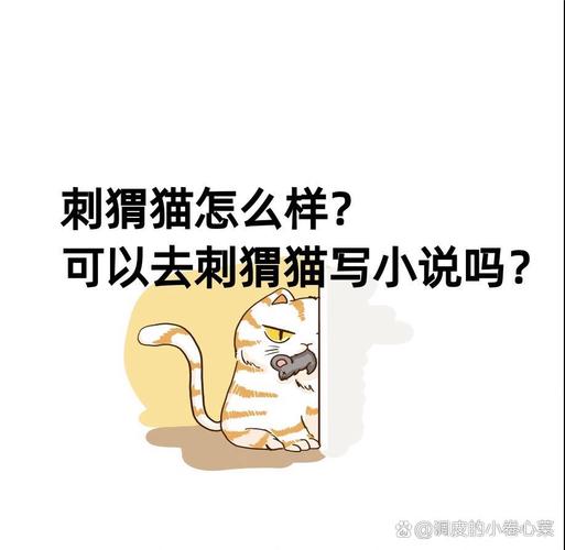刺猬猫小说首页图标