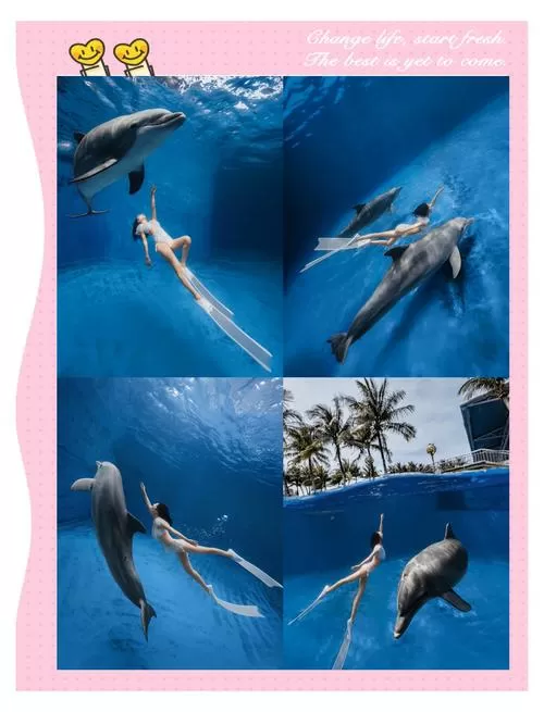 海豚试玩