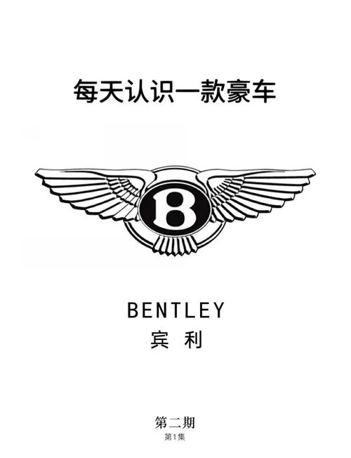 开豪车的都是有钱人吗图标
