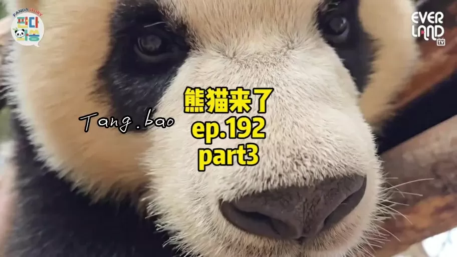 pandatv19认证步骤详解图标