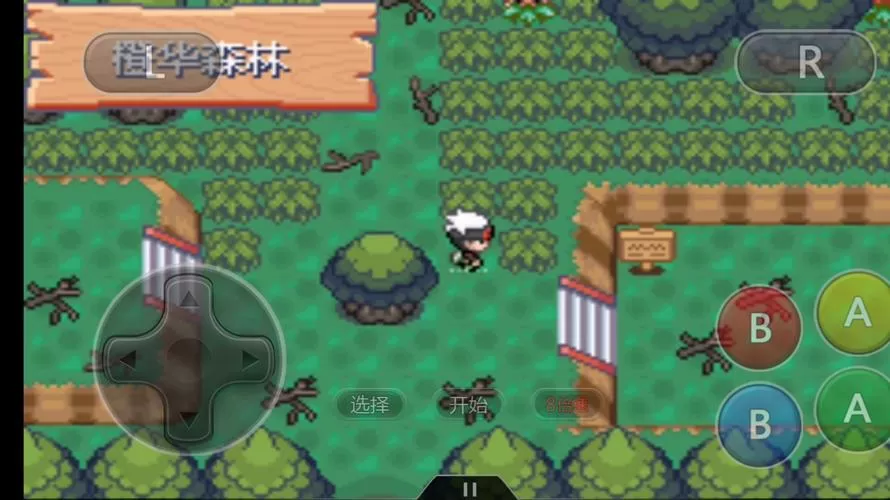 传说绿宝石5