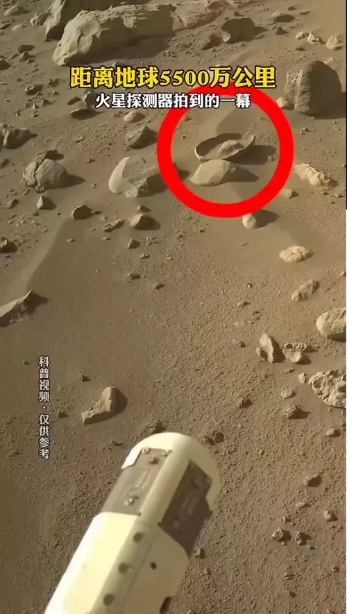 小火星视频