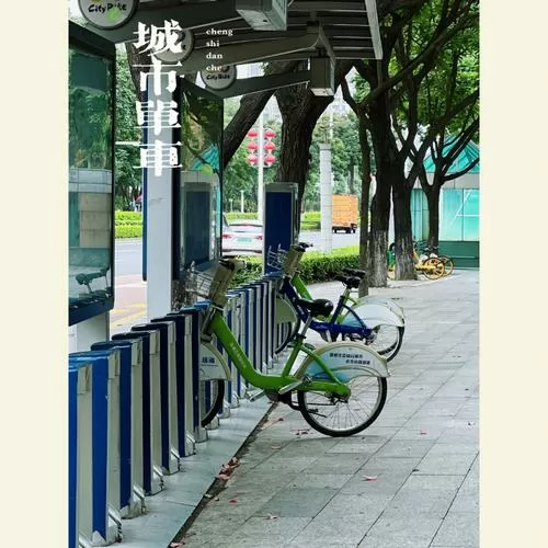 陌生城市