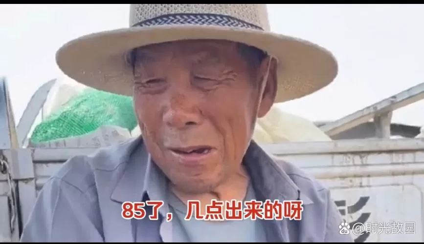 糟老头视频