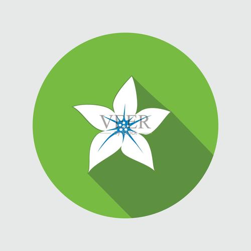 菊花兰图标
