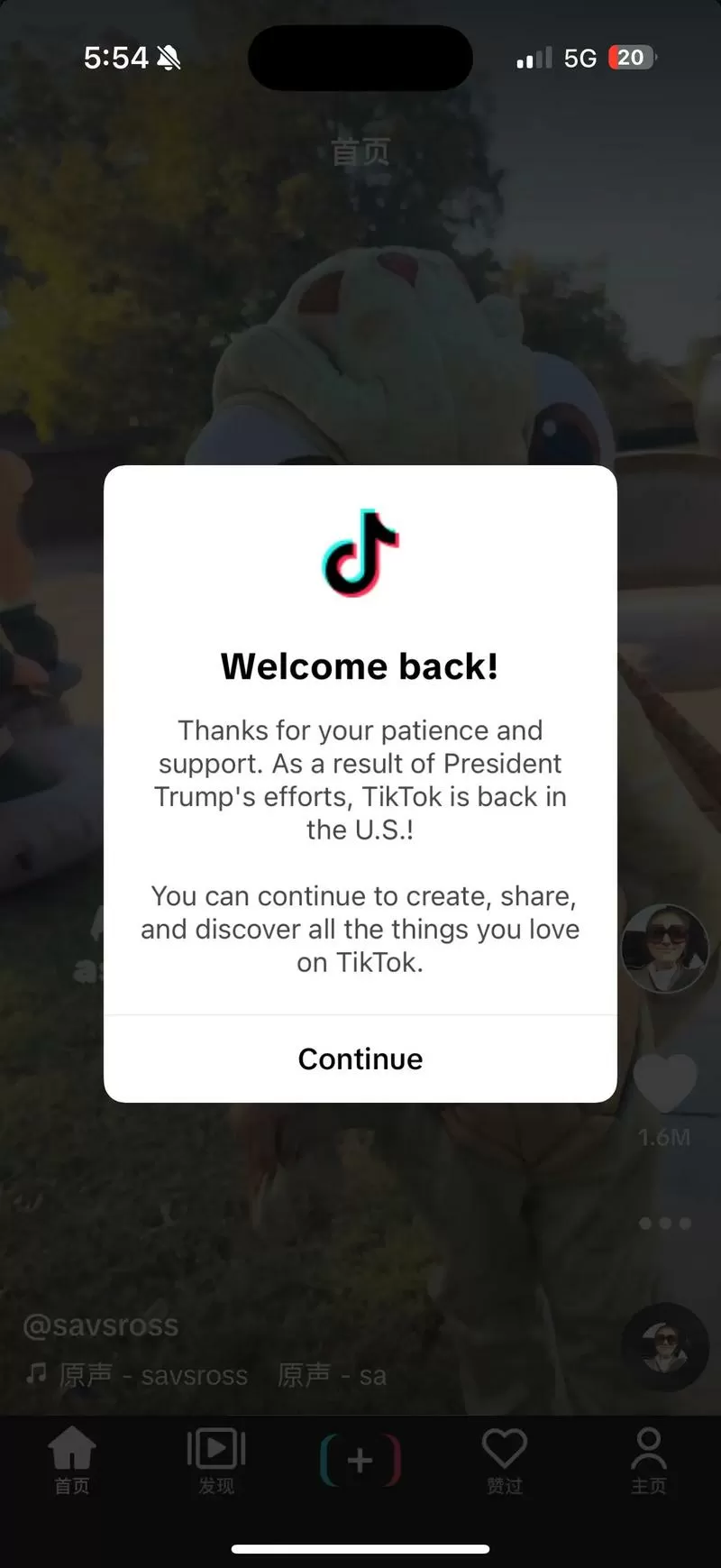 抖音tiktok国外版旧版