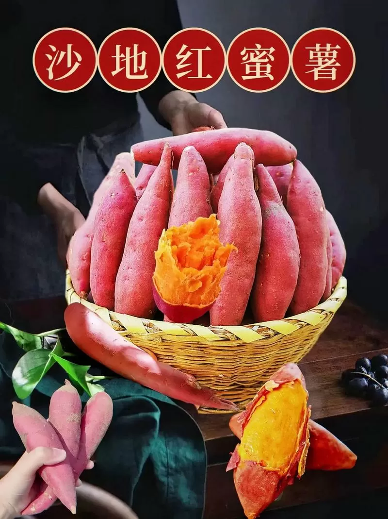 红薯短视频官网版
