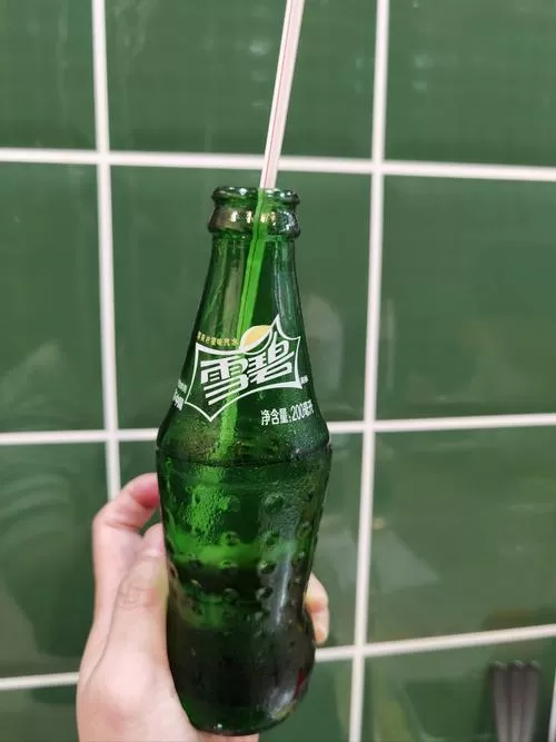 汽水儿手机版