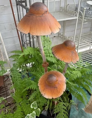 蘑菇小说手机版