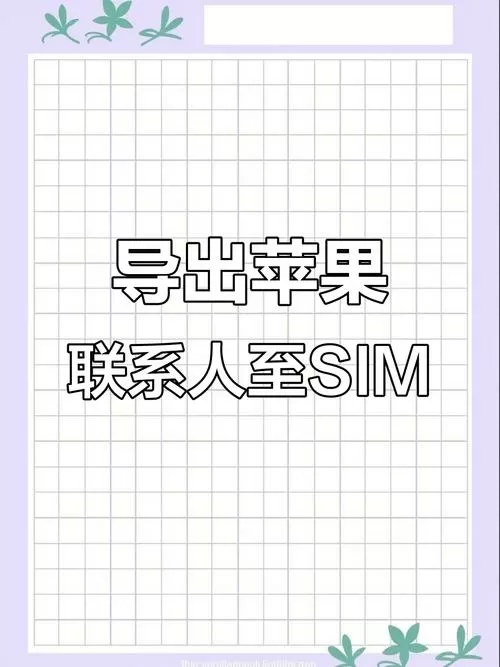 联系人怎么储存到卡里图标