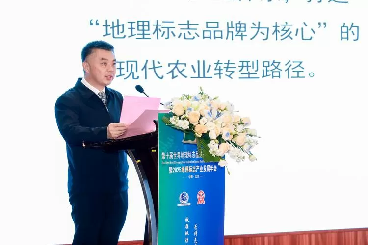 县长到区长是升降