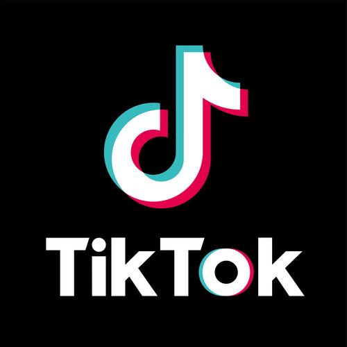tiktok官网入口图标