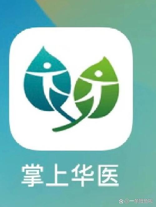 掌上华医图标
