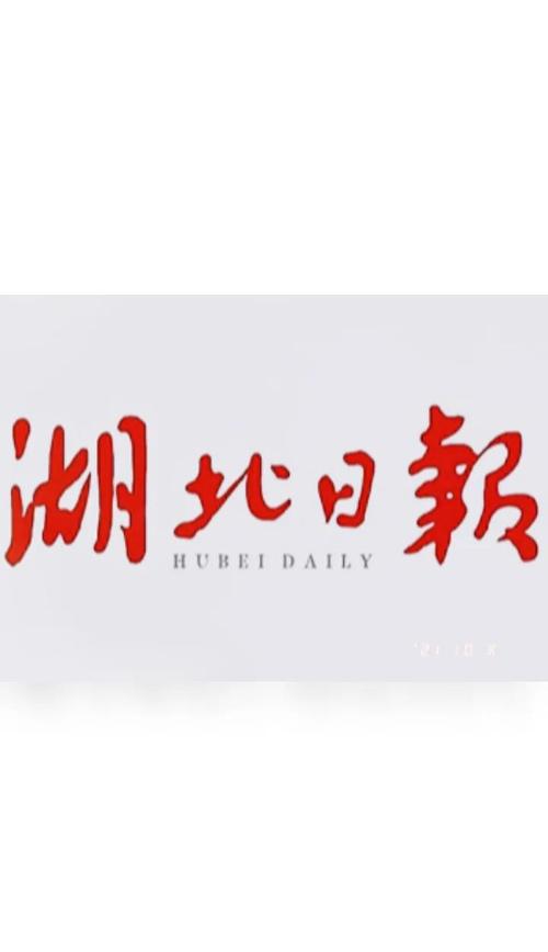 湖北日报电子版图标