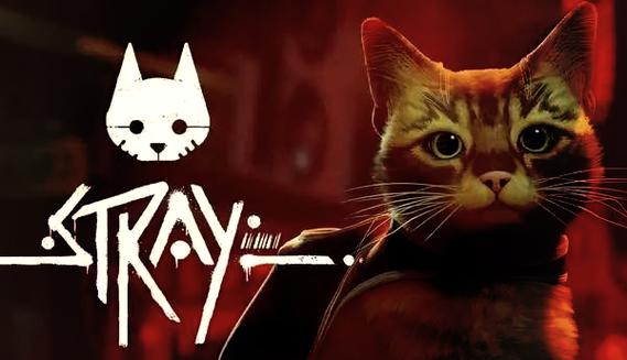 冒险猫正版下载图标