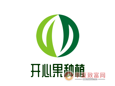 开心果树图标