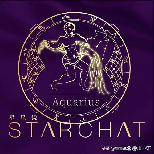 开罗之星图标