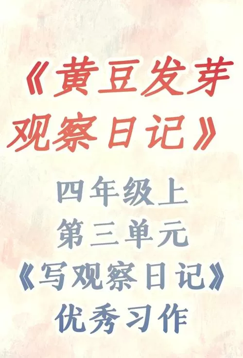 豆芽快讯