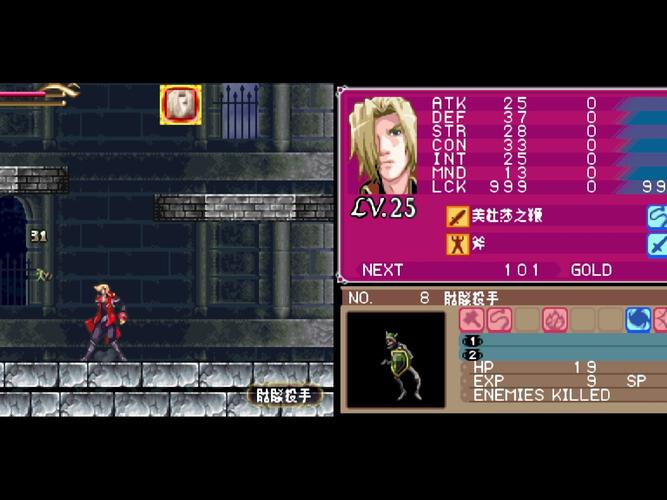 【NDS】《恶魔城:废墟的肖像》中文版图标
