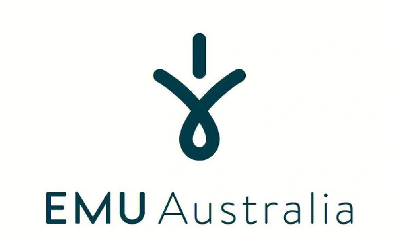 EMU666图标