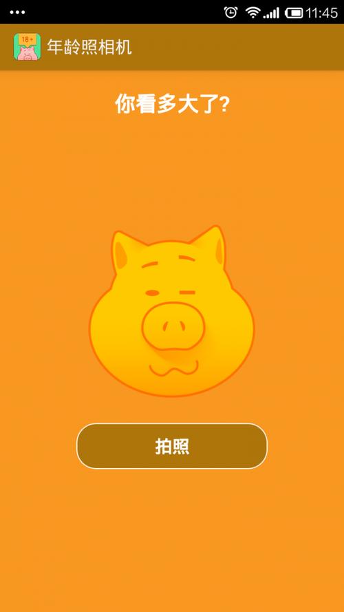 拍照测年龄图标