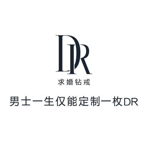 dr2图标