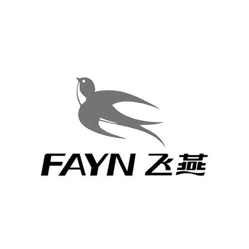 飞燕网络软件图标