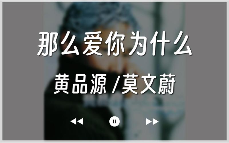 我为什么那么爱你