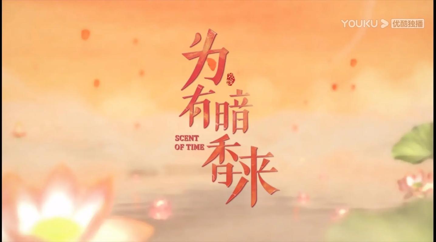 为有暗香来原著小说