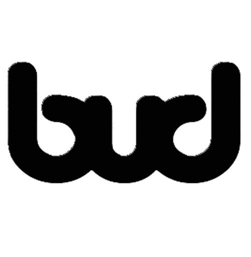 bud安装图标