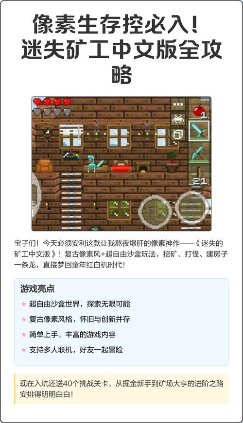 迷失的矿工中文版图标
