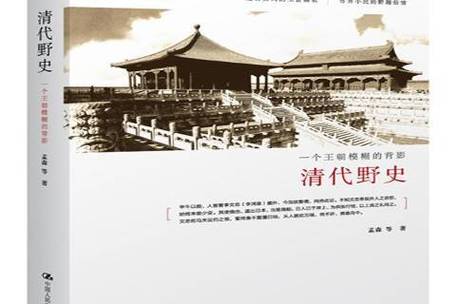 清朝野史图标
