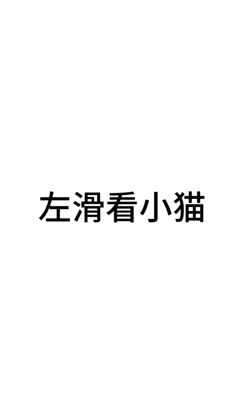 我们喵星人就是这么拽
