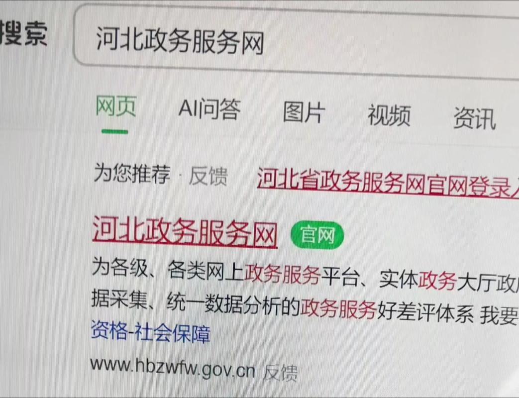 河北政务服务网